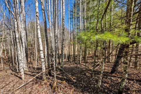Unimproved Land in Piney Creek NC TBD Topia Road 12.jpg