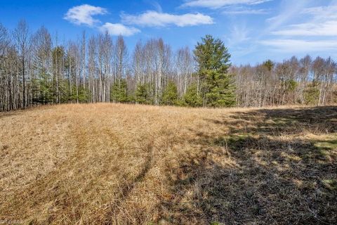 Unimproved Land in Piney Creek NC TBD Topia Road 4.jpg