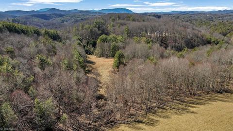 Unimproved Land in Piney Creek NC TBD Topia Road 2.jpg