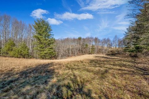 Unimproved Land in Piney Creek NC TBD Topia Road 10.jpg