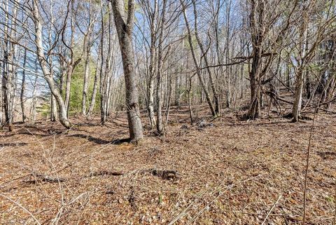 Unimproved Land in Piney Creek NC TBD Topia Road 7.jpg