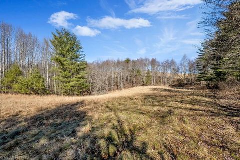 Unimproved Land in Piney Creek NC TBD Topia Road 9.jpg
