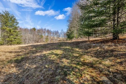 Unimproved Land in Piney Creek NC TBD Topia Road 3.jpg