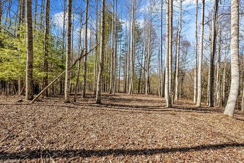 Unimproved Land in Piney Creek NC TBD Topia Road 15.jpg