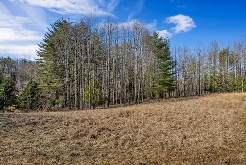 Unimproved Land in Piney Creek NC TBD Topia Road 5.jpg