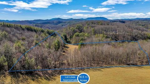 Unimproved Land in Piney Creek NC TBD Topia Road.jpg