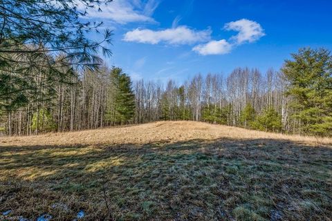 Unimproved Land in Piney Creek NC TBD Topia Road 8.jpg