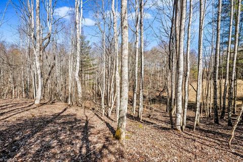 Unimproved Land in Piney Creek NC TBD Topia Road 13.jpg