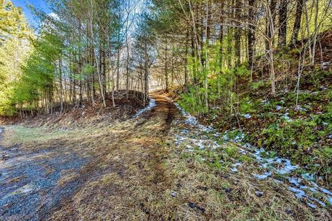 Unimproved Land in Piney Creek NC TBD Topia Road 16.jpg