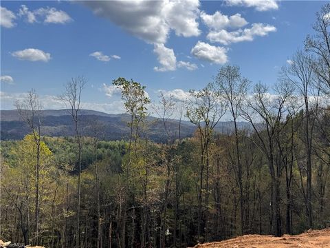 Unimproved Land in West Jefferson NC Tbd Sharpes Mountain Lane.jpg