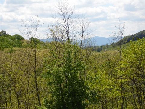 Unimproved Land in Laurel Springs NC TBD Ginkgo Drive.jpg