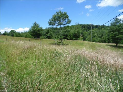 Unimproved Land in Sparta NC TBD NC Highway 18 2.jpg
