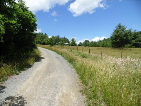 Unimproved Land in Sparta NC TBD NC Highway 18 14.jpg
