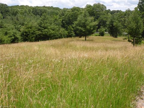 Unimproved Land in Sparta NC TBD NC Highway 18 5.jpg