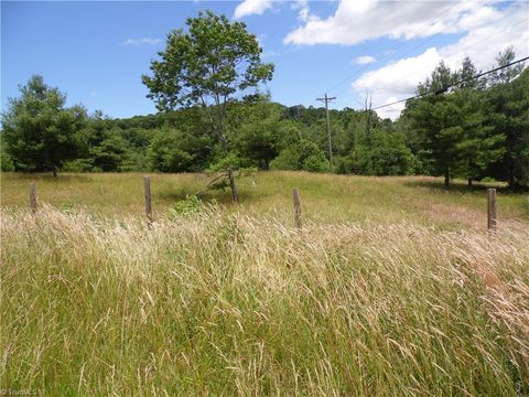 Unimproved Land in Sparta NC TBD NC Highway 18.jpg