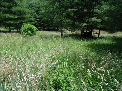 Unimproved Land in Sparta NC TBD NC Highway 18 4.jpg