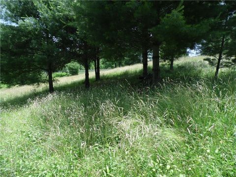 Unimproved Land in Sparta NC TBD NC Highway 18 7.jpg