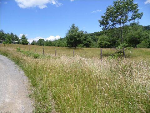 Unimproved Land in Sparta NC TBD NC Highway 18 3.jpg