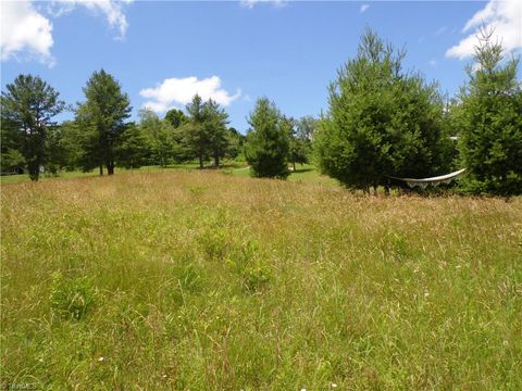 Unimproved Land in Sparta NC TBD NC Highway 18 11.jpg