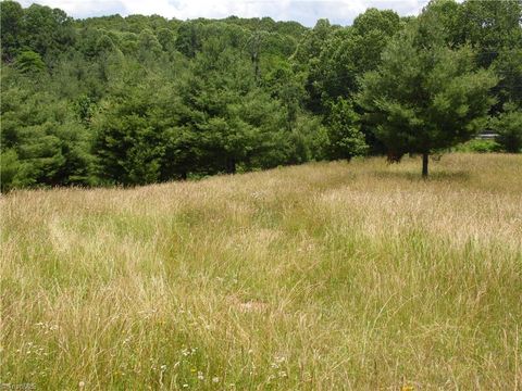 Unimproved Land in Sparta NC TBD NC Highway 18 8.jpg