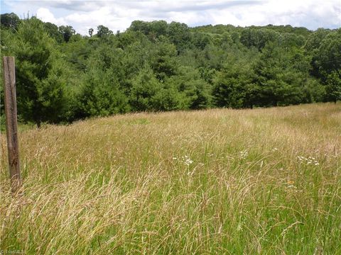 Unimproved Land in Sparta NC TBD NC Highway 18 1.jpg