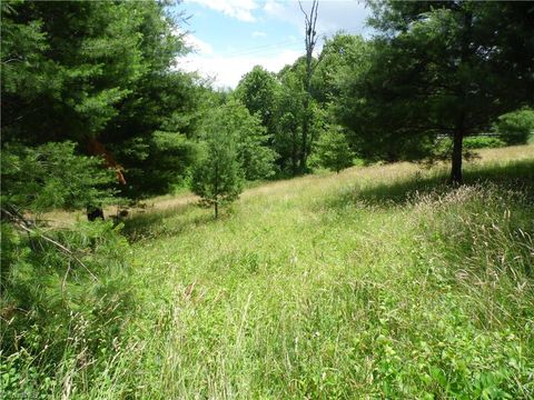 Unimproved Land in Sparta NC TBD NC Highway 18 6.jpg