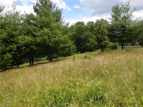 Unimproved Land in Sparta NC TBD NC Highway 18 10.jpg