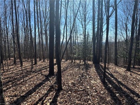 Single Family Residence in Hays NC Lot 19 Overland Trail.jpg
