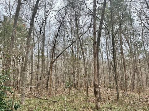 Single Family Residence in Goldston NC 0 Pineview Road.jpg