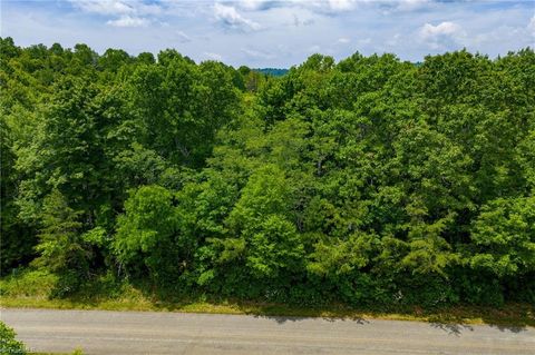 Unimproved Land in Sparta NC TBD Air Bellows Gap Road #5.jpg