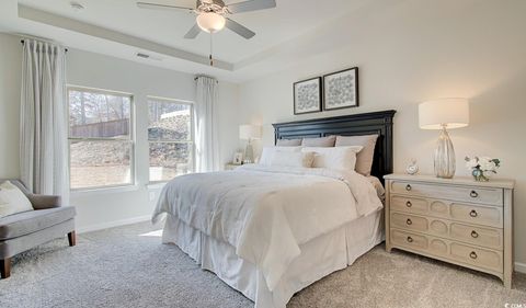 Single Family Residence in Little River SC 929 Maya Layne Dr 8.jpg