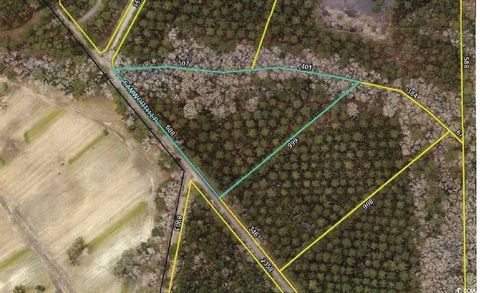  in Georgetown SC Lot 9 Samworth Loop.jpg