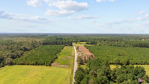  in NICHOLS SC Multiple Lots Black Creek Rd.jpg