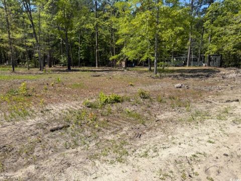  in Georgetown SC TBD Johnson Rd.jpg