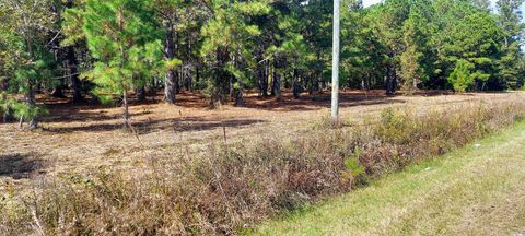  in Loris SC TBD Fowler Rd.jpg