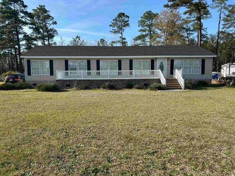 Single Family Residence in Johnsonville SC 301 Byrnes Circle.jpg