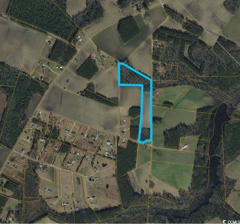 Farm in Loris SC TBD Birchfield Dr.jpg