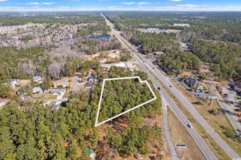 Unimproved Land in Little River SC 2221 Hwy 17 S.jpg