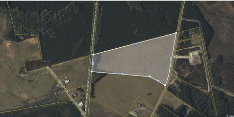 Farm in Andrews SC 0 Morrisville Rd.jpg