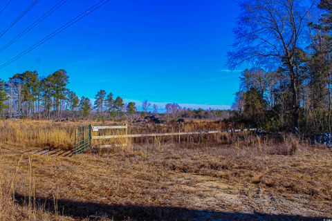  in Marion SC TBD Penderboro Rd.jpg