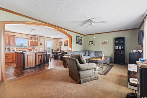 Mobile Home in Nichols SC 6608 Black Creek Rd 7.jpg