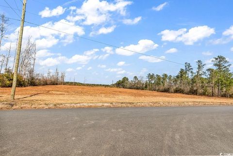  in Nichols SC TBD Bellaire Dr.jpg