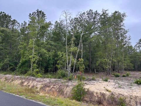  in Loris SC 3-A McNabb Rd.jpg