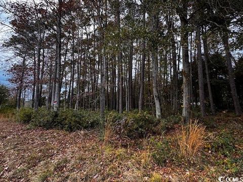  in Little River SC Lot 8 Luck Ave.jpg