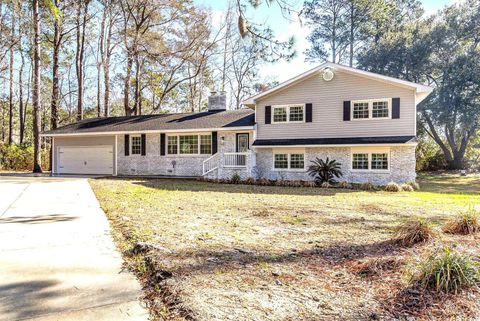 Single Family Residence in Georgetown SC 106 Governor Boone Ln.jpg