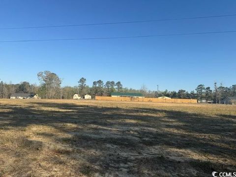  in Latta SC Lot A Lexyryan Ct.jpg