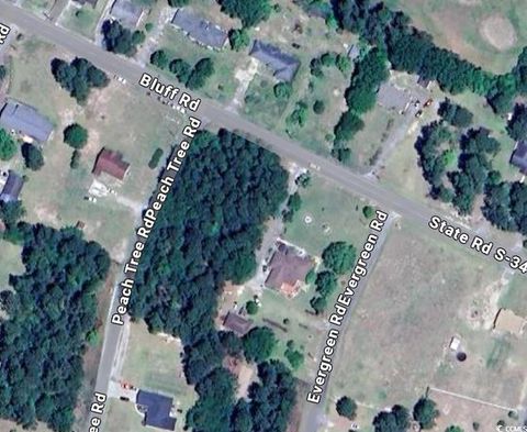  in Marion SC Lot 1 C Peach Tree Rd 7.jpg