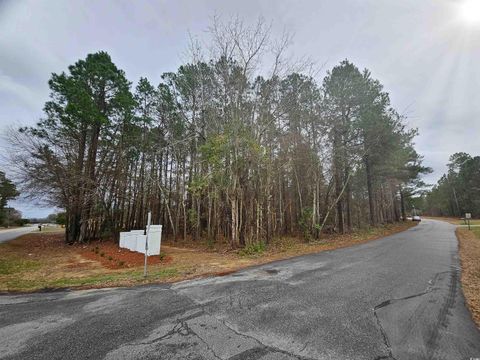  in Marion SC Lot 1 C Peach Tree Rd 1.jpg
