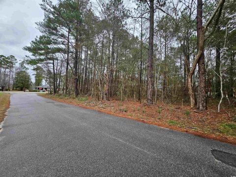  in Marion SC Lot 1 C Peach Tree Rd 4.jpg