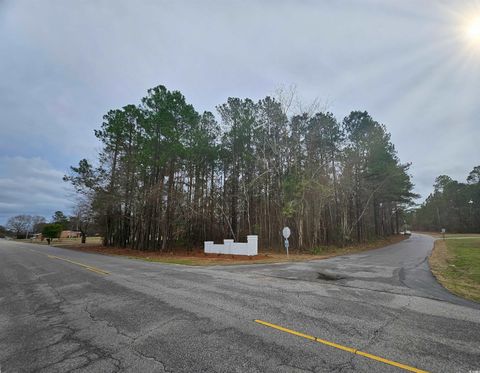  in Marion SC Lot 1 C Peach Tree Rd 5.jpg